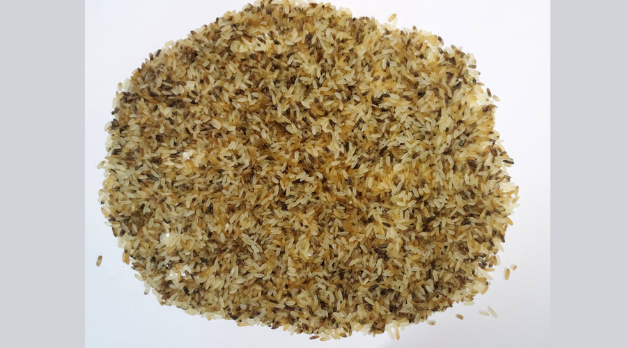 Rejection_Rice